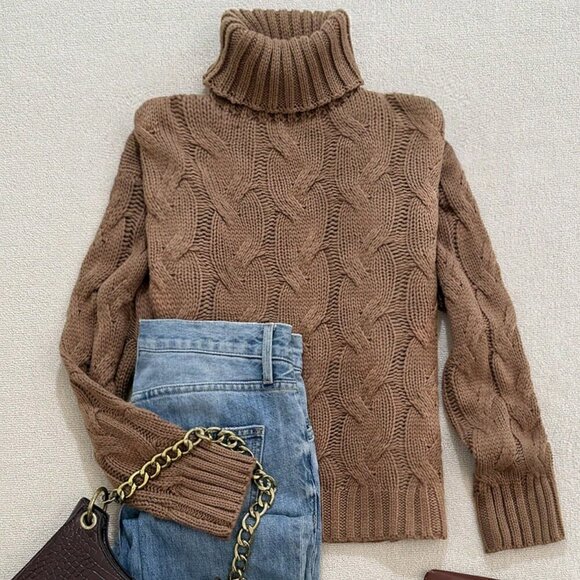 Brown Casual Women's Comfortable Twisted Rope Pattern Textured High neck sweater - Picture 2 of 5